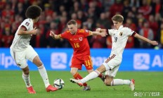 开云官方app入口-比利时vs威尔士：探讨两队实力差距！