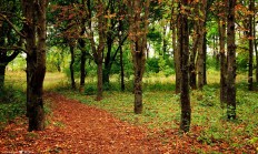 开云足球直播-双线叙事，国米终结悬念的艺术与梅西永恒的输出哲学