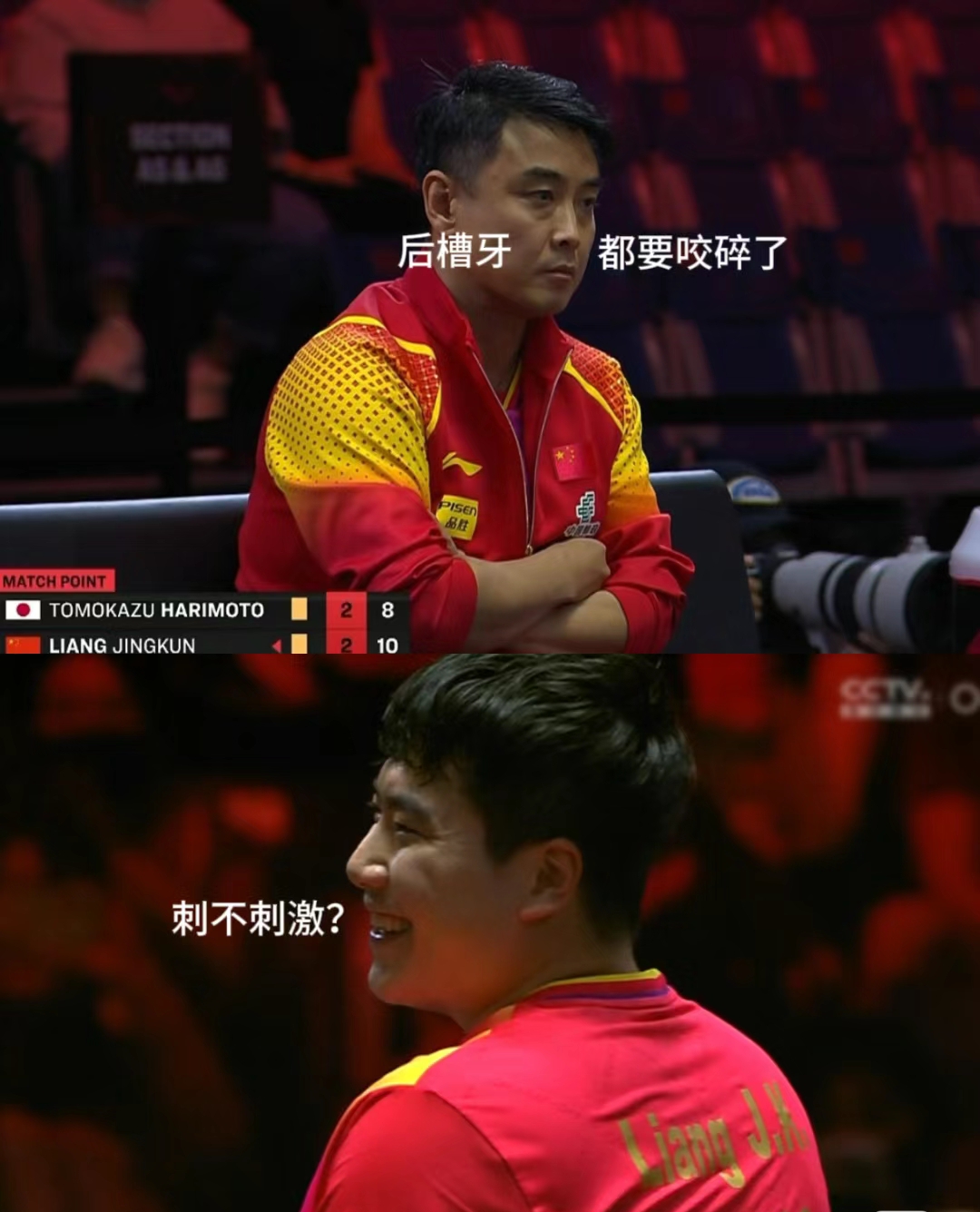 日本乒乓球队横扫法国乒乓球队，王皓爆发神勇的简单介绍