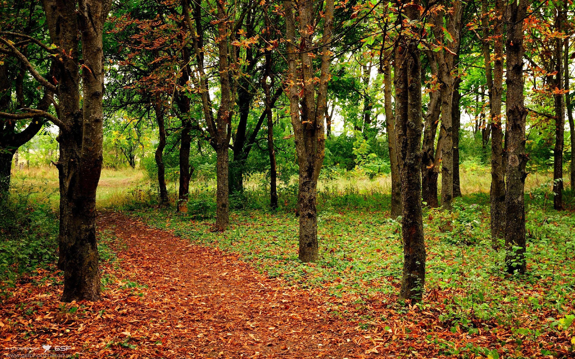 双线叙事，国米终结悬念的艺术与梅西永恒的输出哲学