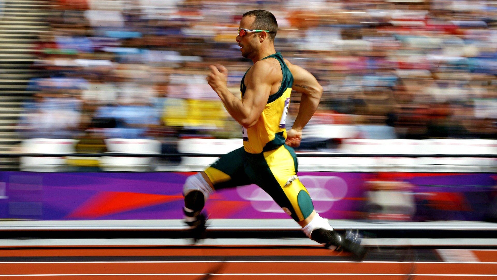 林高远高光闪耀，瑞典队横扫德国队—一场颠覆与传承的乒乓对决